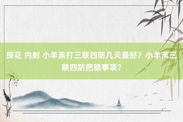 探花 内射 小羊羔打三联四防几天最好？小羊羔三联四防把稳事项？