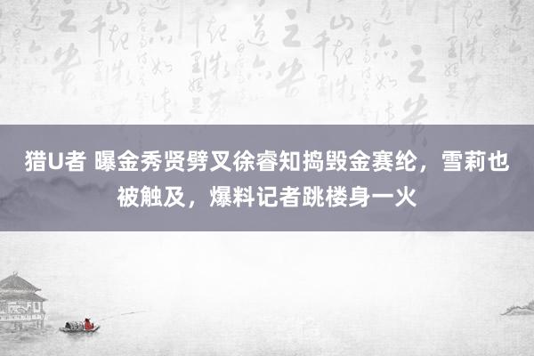 猎U者 曝金秀贤劈叉徐睿知捣毁金赛纶，雪莉也被触及，爆料记者跳楼身一火