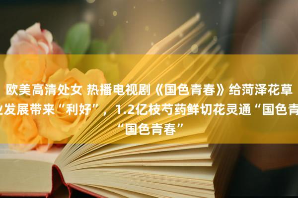 欧美高清处女 热播电视剧《国色青春》给菏泽花草产业发展带来“利好”，1.2亿枝芍药鲜切花灵通“国色青春”