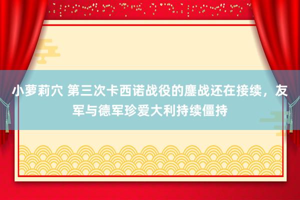 小萝莉穴 第三次卡西诺战役的鏖战还在接续，友军与德军珍爱大利持续僵持