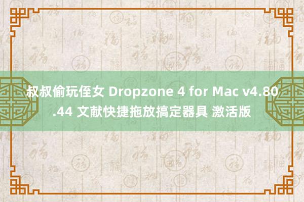 叔叔偷玩侄女 Dropzone 4 for Mac v4.80.44 文献快捷拖放搞定器具 激活版