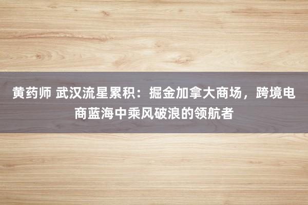 黄药师 武汉流星累积：掘金加拿大商场，跨境电商蓝海中乘风破浪的领航者