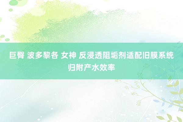 巨臀 波多黎各 女神 反浸透阻垢剂适配旧膜系统归附产水效率