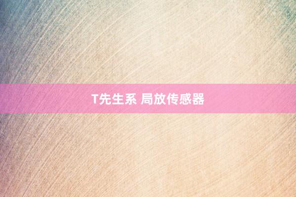 T先生系 局放传感器