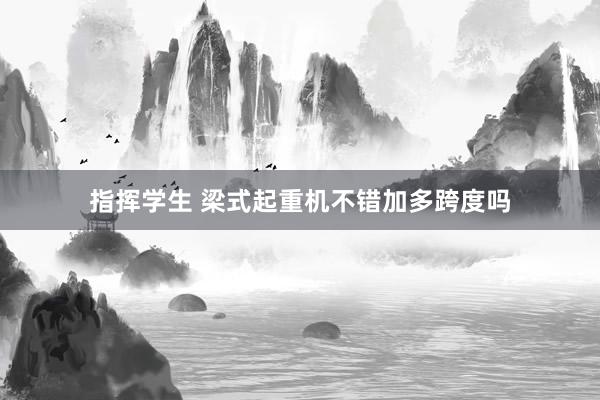 指挥学生 梁式起重机不错加多跨度吗