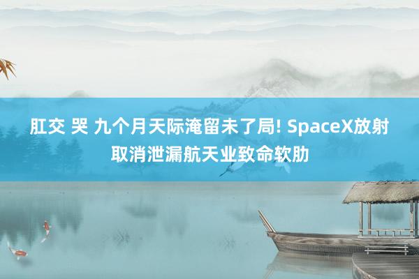 肛交 哭 九个月天际淹留未了局! SpaceX放射取消泄漏航天业致命软肋