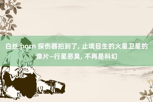 白丝 porn 探伤器拍到了, 止境目生的火星卫星的像片—行星恶臭, 不再是科幻