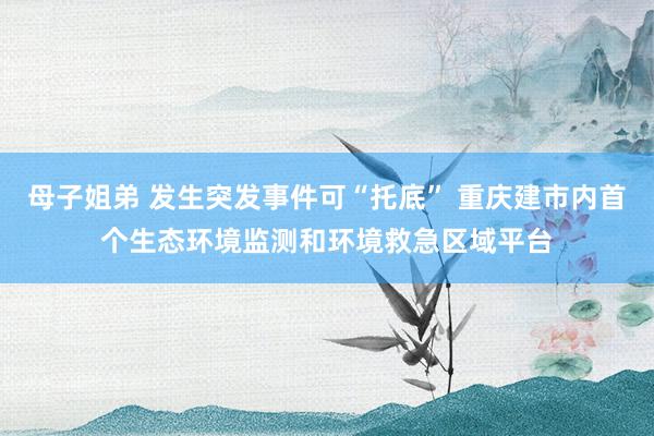 母子姐弟 发生突发事件可“托底” 重庆建市内首个生态环境监测和环境救急区域平台