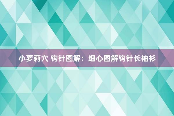 小萝莉穴 钩针图解：细心图解钩针长袖衫