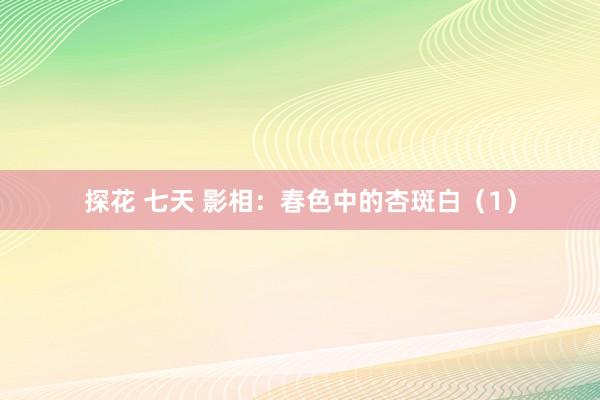 探花 七天 影相：春色中的杏斑白（1）