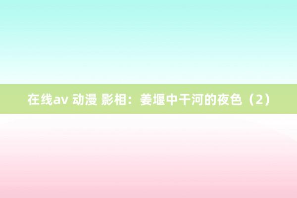 在线av 动漫 影相：姜堰中干河的夜色（2）