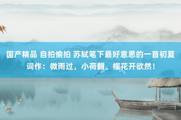 国产精品 自拍偷拍 苏轼笔下最好意思的一首初夏词作：微雨过，小荷翻。榴花开欲然！