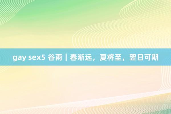 gay sex5 谷雨｜春渐远，夏将至，翌日可期