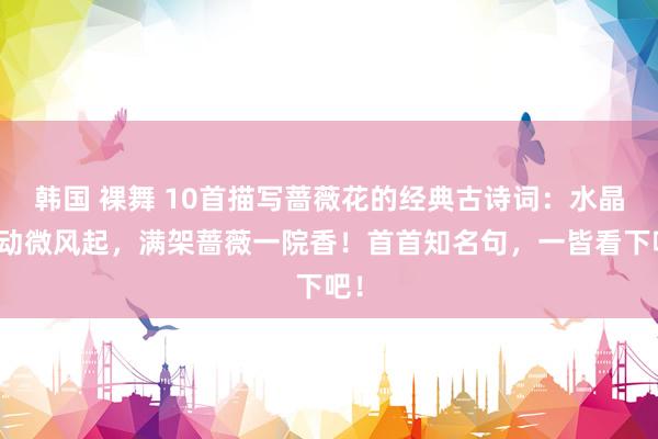 韩国 裸舞 10首描写蔷薇花的经典古诗词：水晶帘动微风起，满架蔷薇一院香！首首知名句，一皆看下吧！