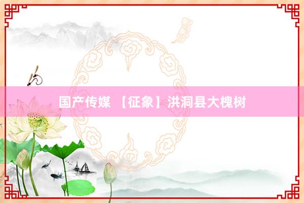 国产传媒 【征象】洪洞县大槐树