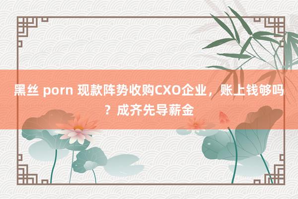 黑丝 porn 现款阵势收购CXO企业，账上钱够吗？成齐先导薪金
