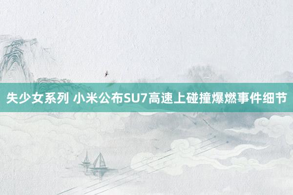 失少女系列 小米公布SU7高速上碰撞爆燃事件细节