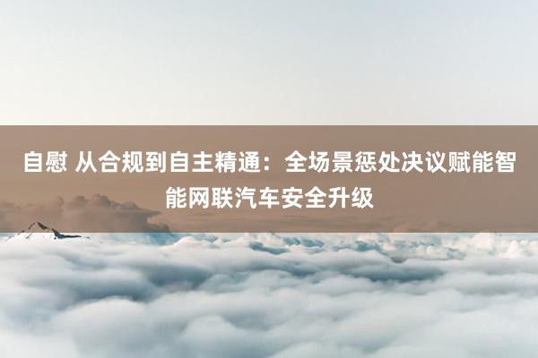 自慰 从合规到自主精通：全场景惩处决议赋能智能网联汽车安全升级