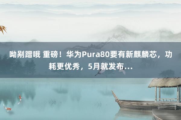 呦剐蹭哦 重磅！华为Pura80要有新麒麟芯，功耗更优秀，5月就发布…